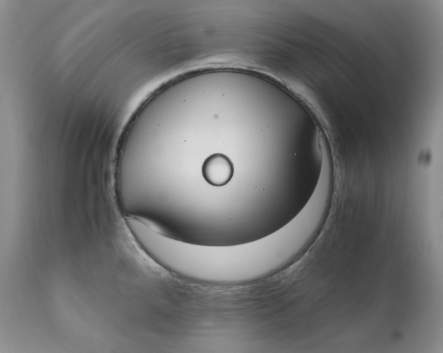 X0000110771288200907061110