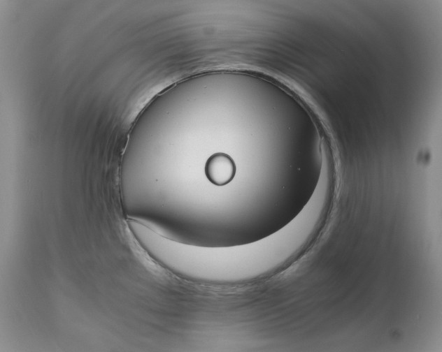 X0000110771289200907061110