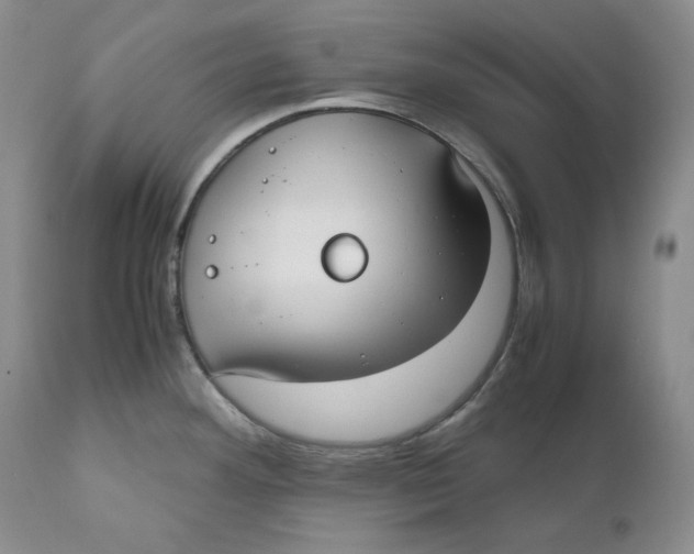 X0000110771292200907061110