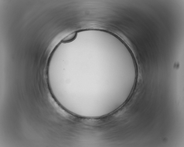 X0000110771293200907061110