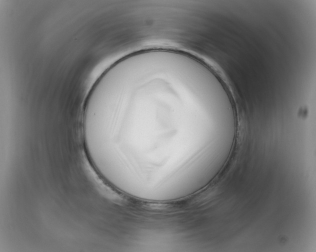 X0000110771295200907061110