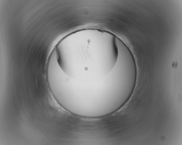 X0000110771296200907061110