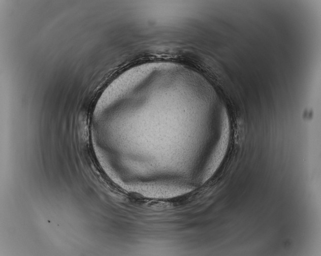 X0000110771298200907061109