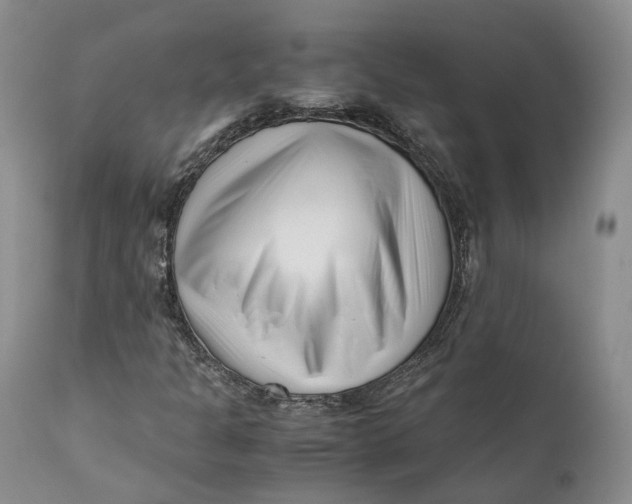 X0000110771301200907061110