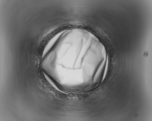 X0000110771302200907061110