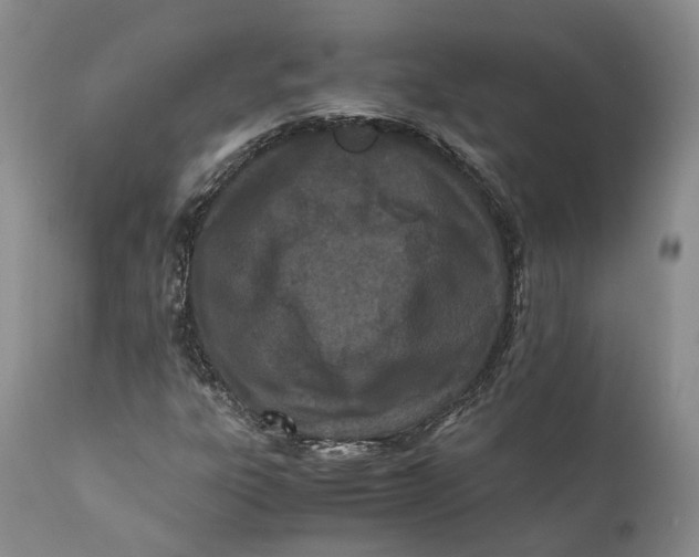 X0000110771303200907061110