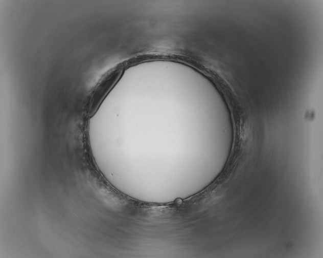 X0000110771304200907061110