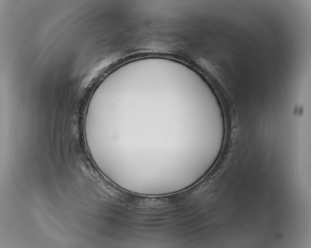 X0000110771307200907061110