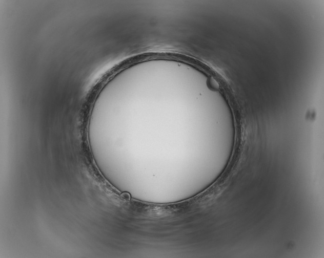 X0000110771311200907061110