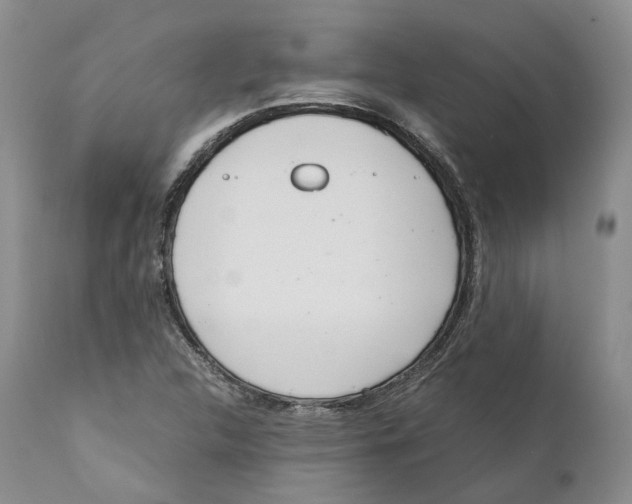 X0000110771312200907061110