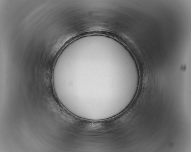 X0000110771313200907061110