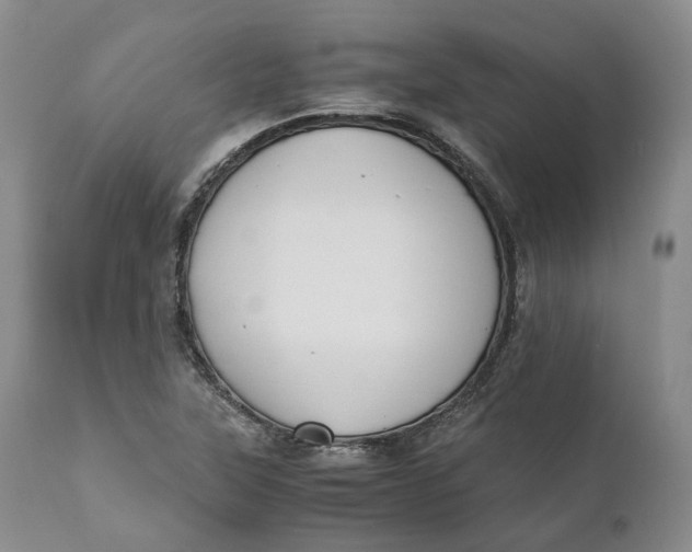 X0000110771315200907061110