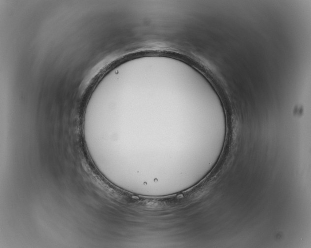 X0000110771318200907061110