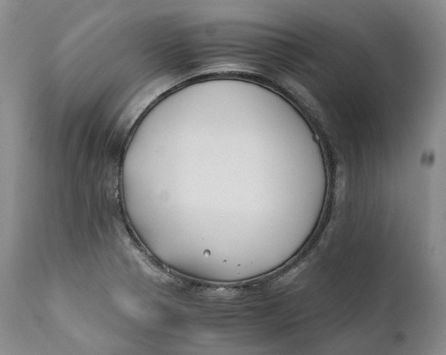 X0000110771321200907061110