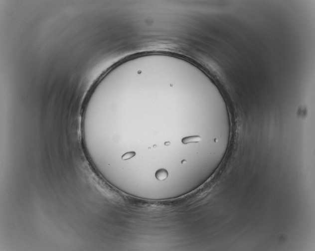 X0000110771324200907061110