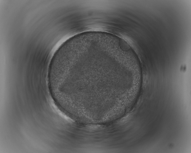 X0000110771331200907061110