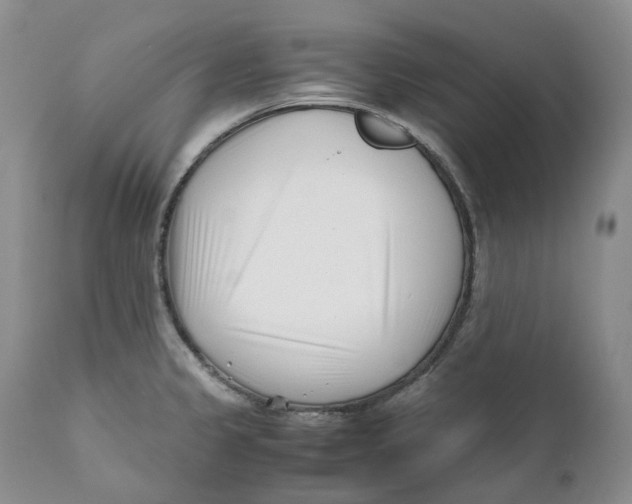 X0000110771333200907061110