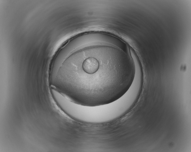 X0000110771334200907061110