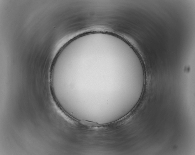 X0000110771335200907061110