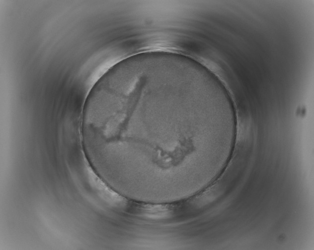 X0000110771338200907061110