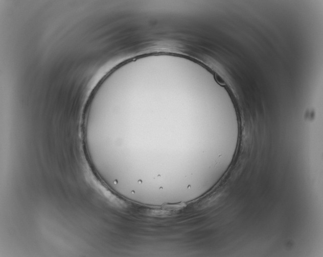 X0000110771339200907061110