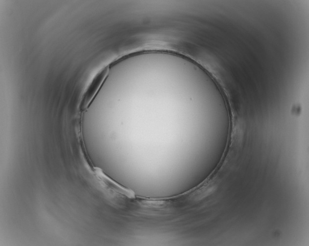 X0000110771342200907061110