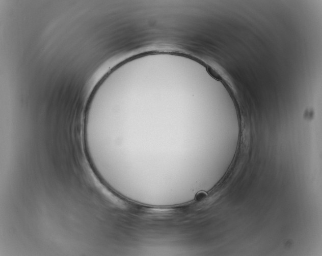 X0000110771343200907061110