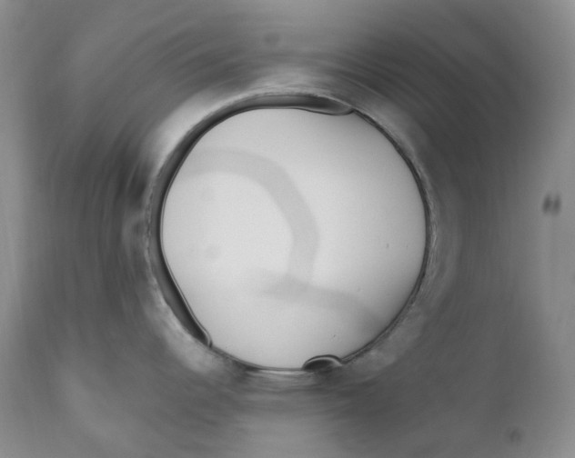 X0000110771344200907061110