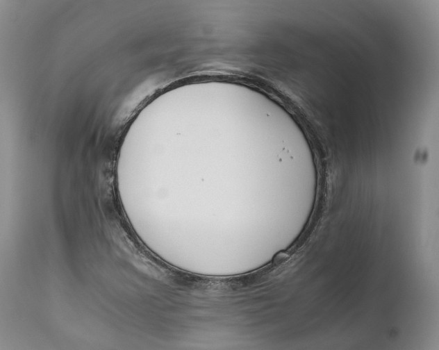 X0000110771355200907061109