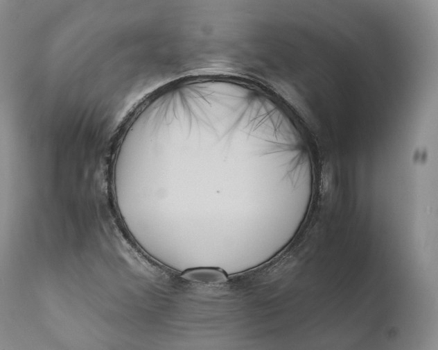 X0000110771356200907061109