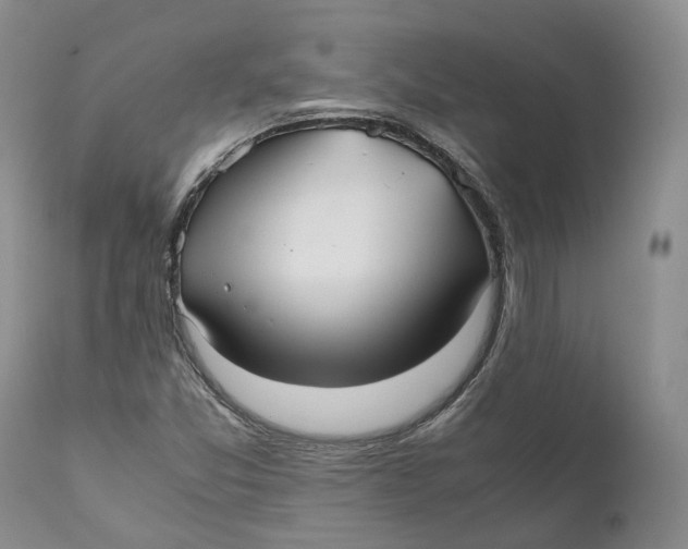 X0000110771357200907061109