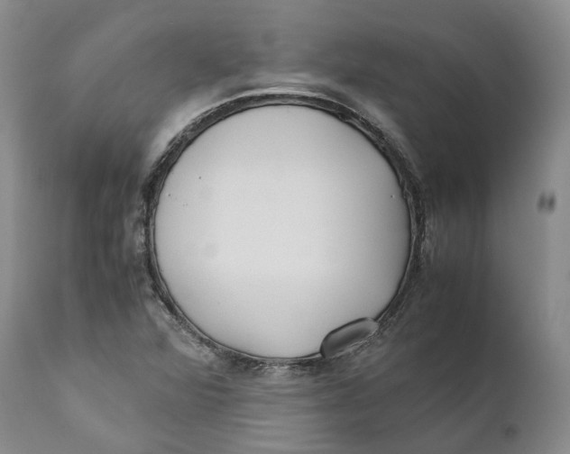 X0000110771360200907061109