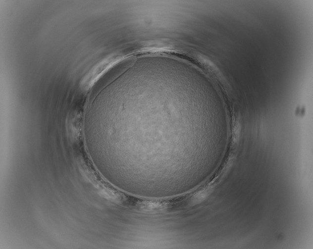 X0000110771361200907061109