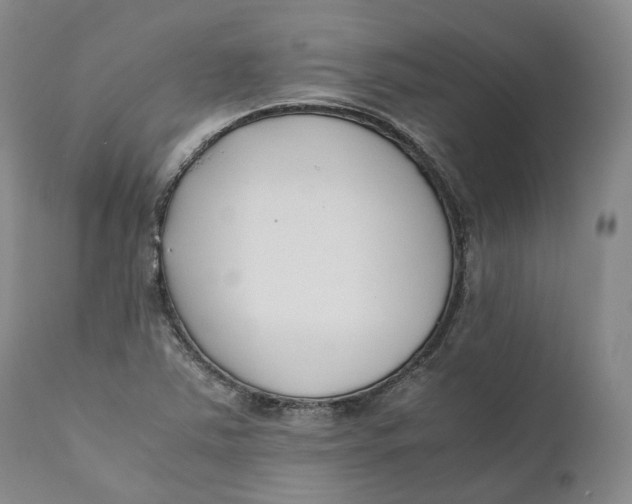 X0000110771363200907061109