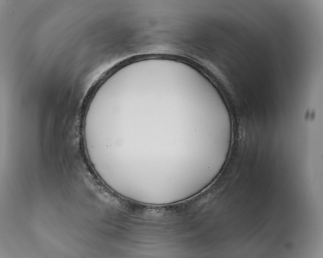 X0000110771364200907061109