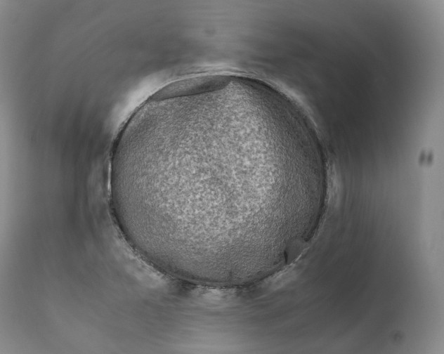 X0000110771365200907061109