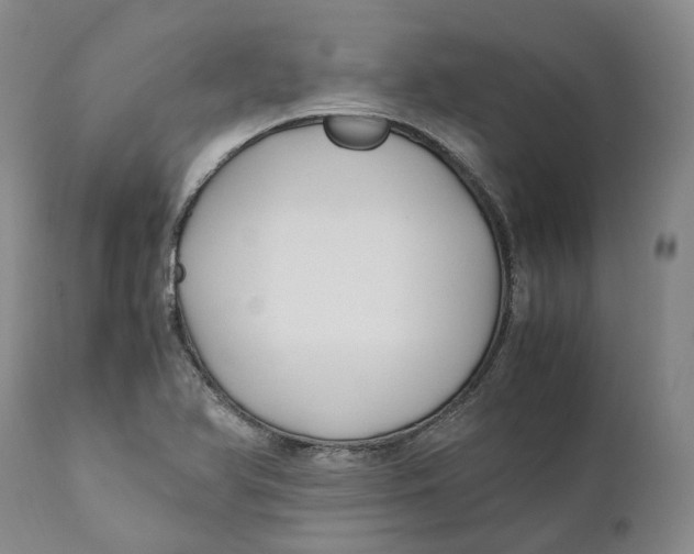 X0000110771366200907061109