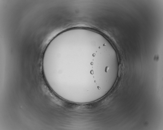 X0000110771367200907061109