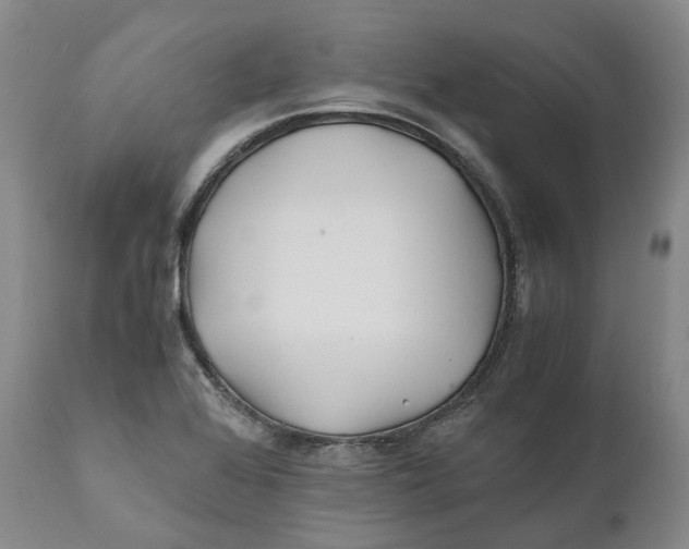 X0000110771368200907061109