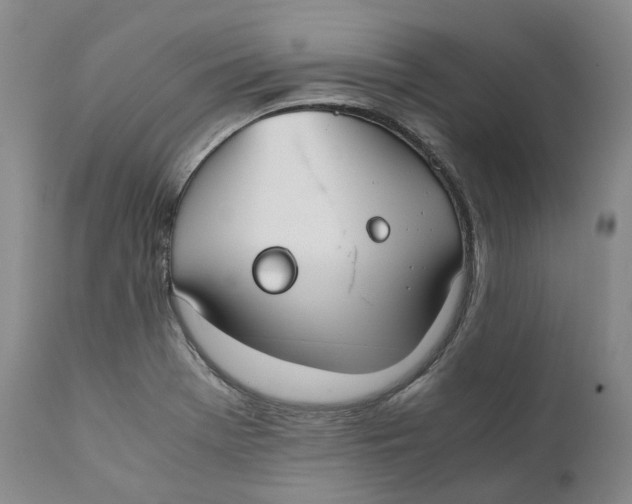 X0000110771369200907061109