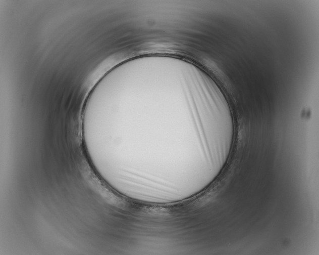 X0000110771370200907061109