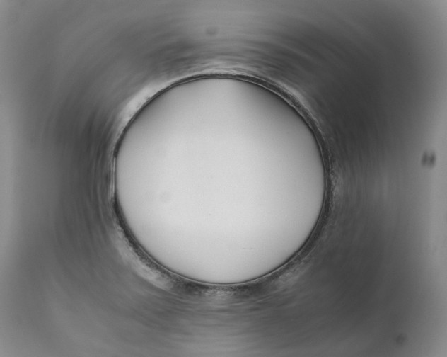 X0000110771371200907061109