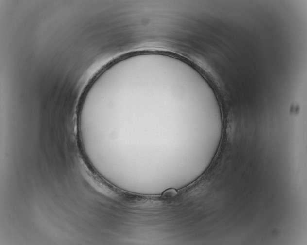 X0000110771372200907061109