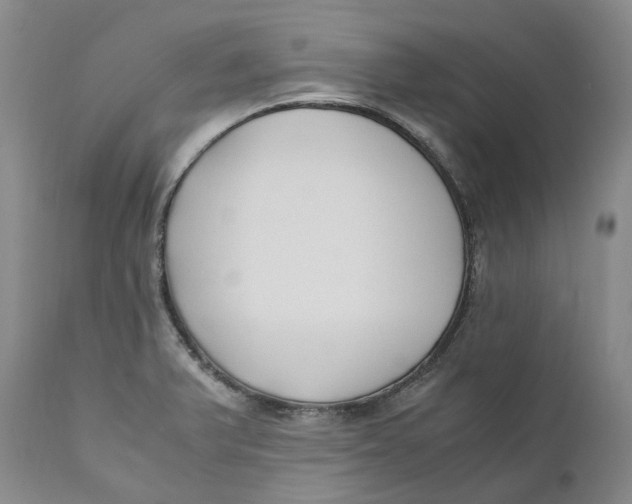 X0000110771375200907061109