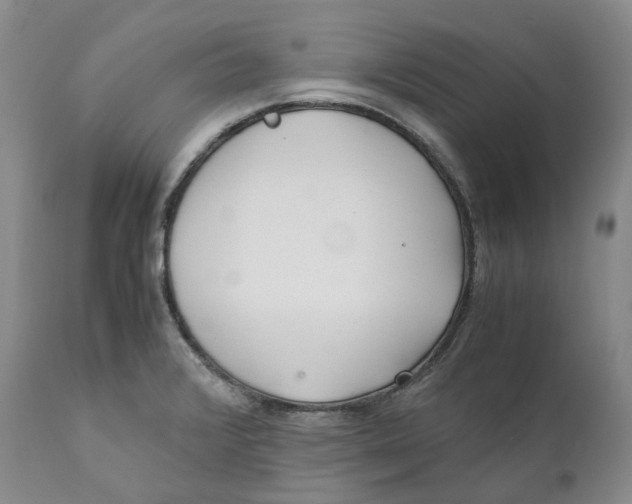 X0000110771376200907061109