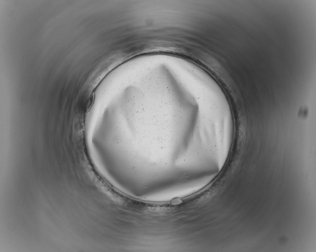 X0000110771377200907061109