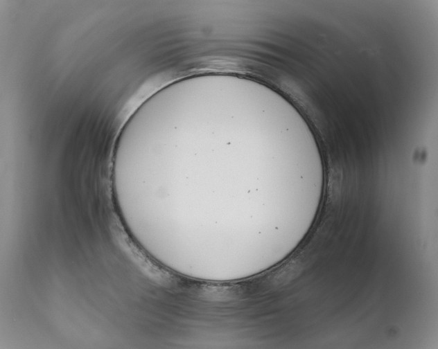 X0000110771378200907061109