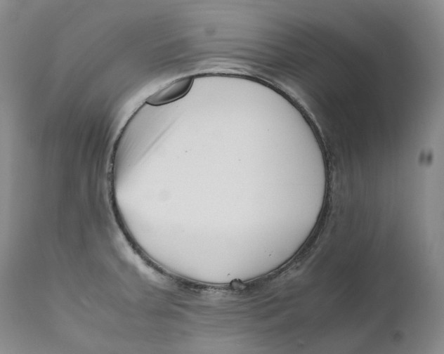 X0000110771379200907061109