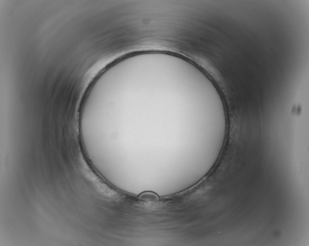 X0000110771380200907061109