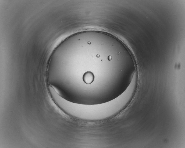 X0000110771381200907061109